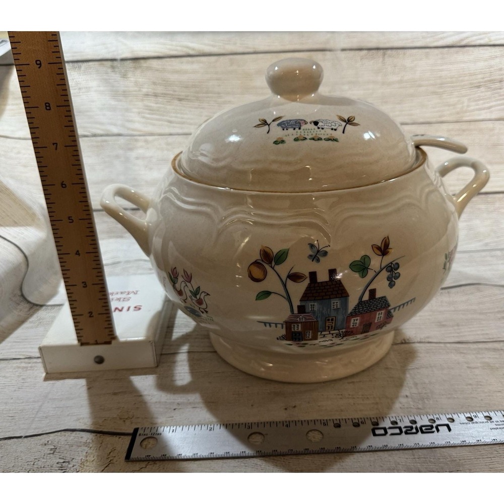 International China Stoneware Soup Tureen Heartland Pattern with Ladle Beautiful